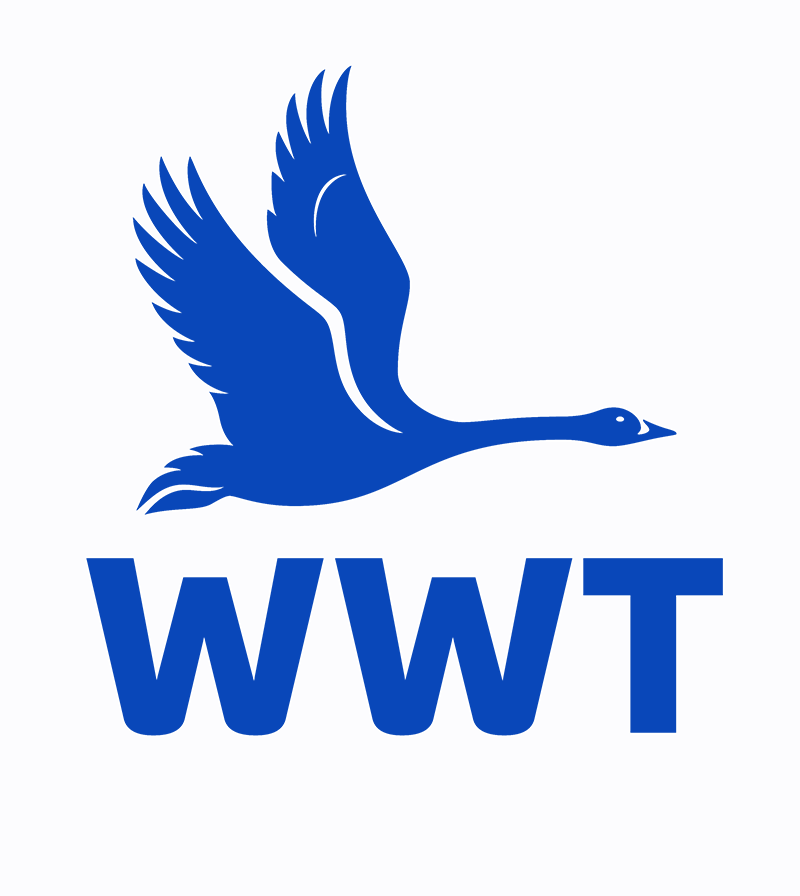 Partner logo 9